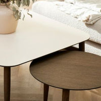 Træ- og laminatpleje